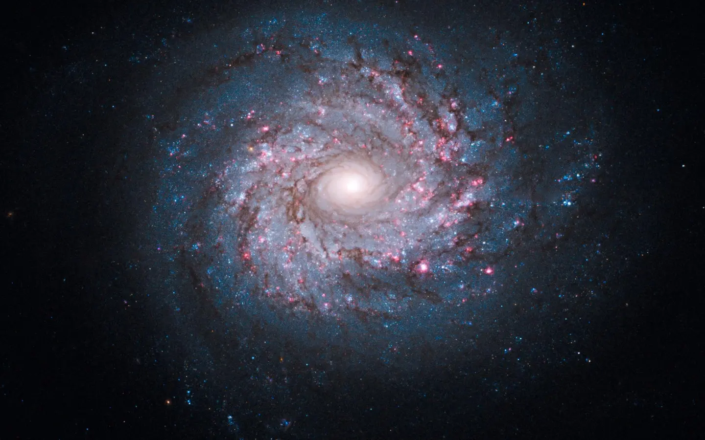 Hubble view of a star-forming region in deep space